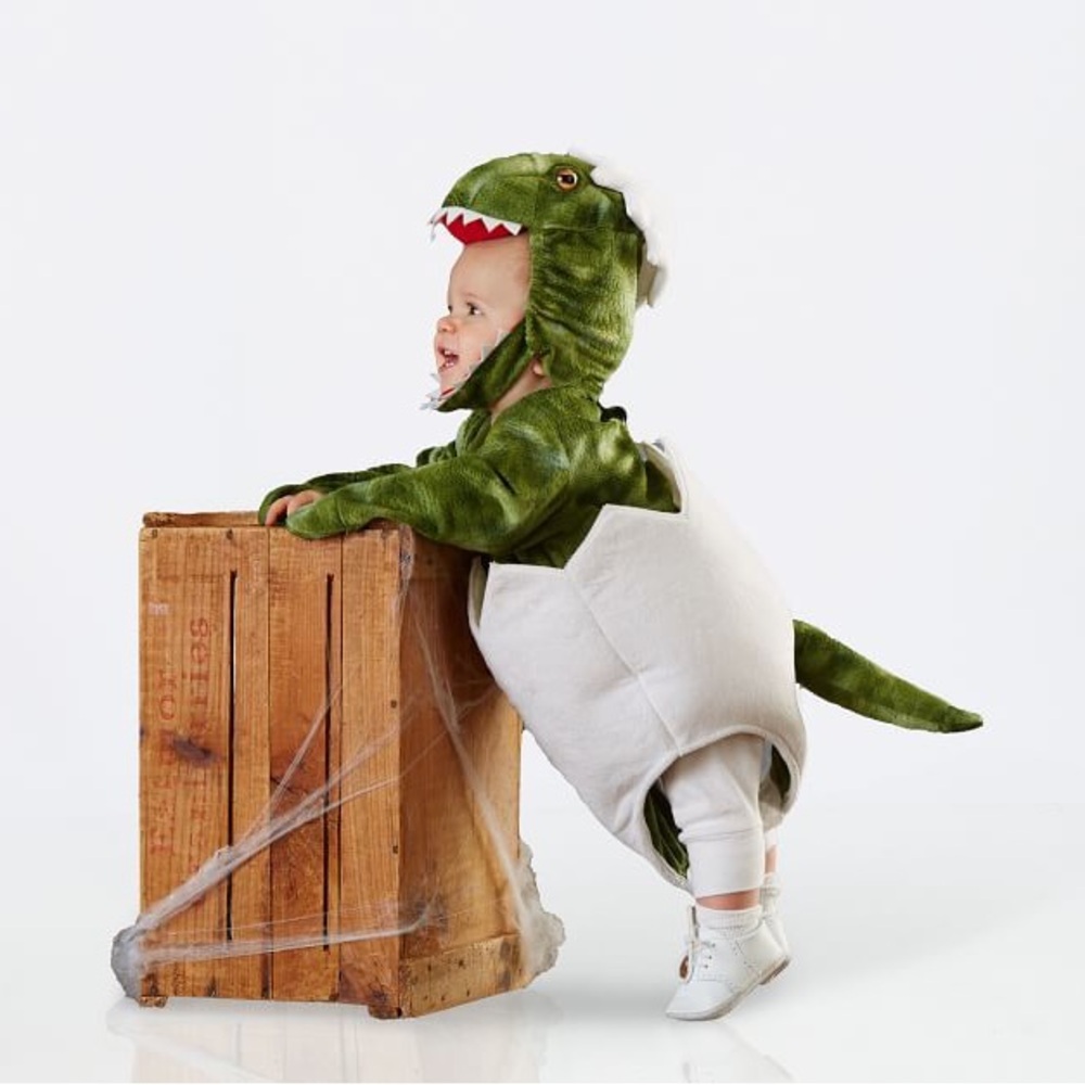 POTTERY BARN DINO EGG COSTUME 0-6 months, baby, EUC